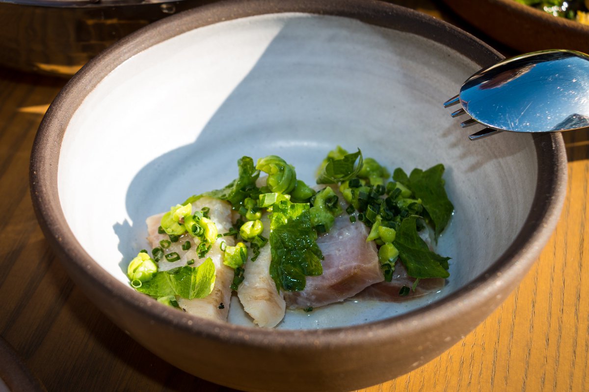 satnam6502's tweet photo. Capital WA), smoked asparagus (the best asparagus I've ever had), Koshikari fried rice with24-month parmesan, Japanese curry halibut, brown butter cabbage, ginger-scallion duck and Basque cheesecake. Eclectic well priced wine list. Immaculate service. Very good value for money. https://t.co/ScKY28EYni