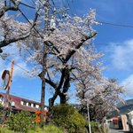円かの杜(公式)のツイート画像