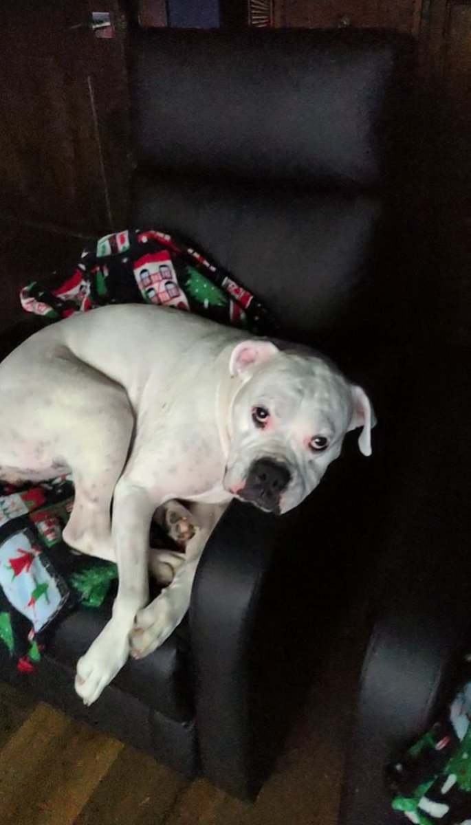 DeakinSound's tweet image. We're gonna watch a movie together.