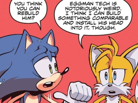 Semi Frequent Sonic Facts 🔫 on X: In the IDW's Sonic the