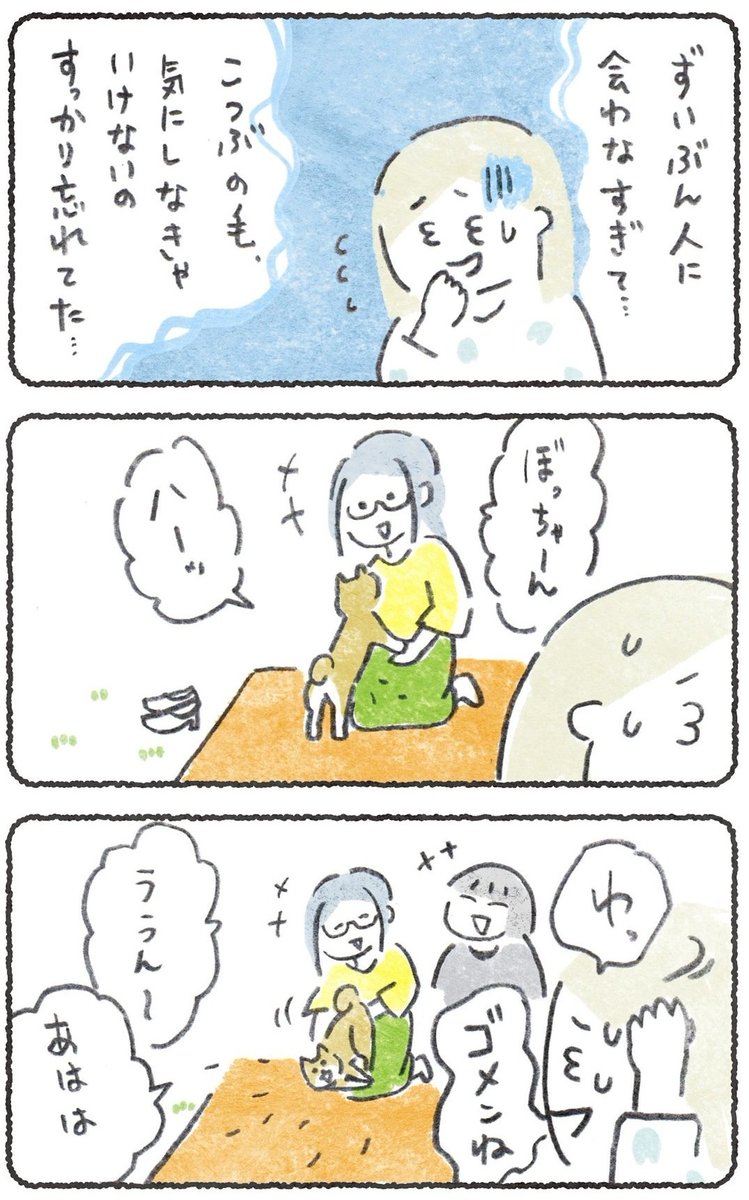 (2/2)
URL先にて、お花見まだつづきます↓?
https://t.co/i3erDDFN4c
(3月30日.10時までcakes会員さんでなくても読めます)

感染症対策をして、短時間で決行しました?
#豆しばこつぶ 