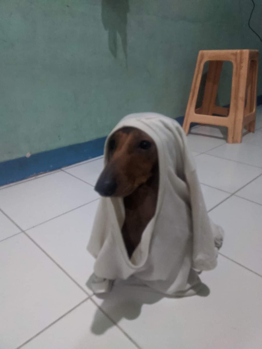 IbsAso's tweet photo. IBS Aso Holy week special https://t.co/TB98qP47yk