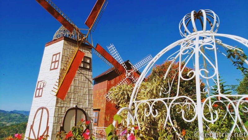 cebutrip_net's tweet photo. #Sirao Garden "The Little Amsterdam" in #Cebu.
Take look at this top sight in videos & in #StreetView!
YT: https://t.co/fyHwmMwYy4
More details here https://t.co/ZARq1k4vwI
Car rentals & city tour packages, available on the link above.
#CebuTrip #TopSight #VR360 #VirtualTour https://t.co/V27MMPhAps