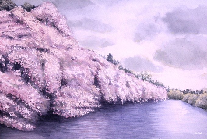 しだれ桜のtwitterイラスト検索結果