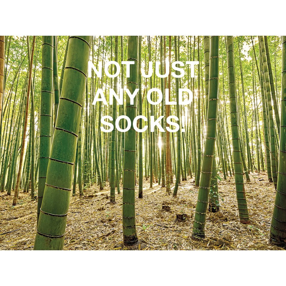 Sometimes you find a organisation that is really inspiring. BAM is just that, it's made us think about how we can have an even bigger positive impact and who doesn't need some comfy socks for all the walks we have been going on lately. Check them out Bamboo Clothing 
#sustainable