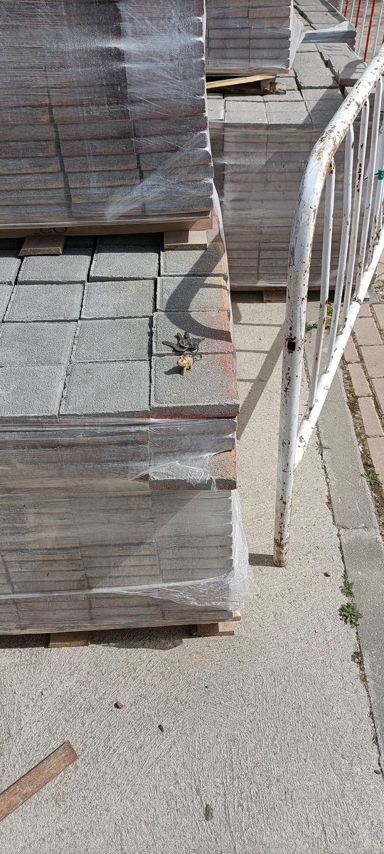 BelinLT's tweet image. Llaves perdidas en Copenhague,59 entrada bloque 12. Al lado de donde están construyendo el Centro de Salud Parque Oeste. Por si alguien las ha perdido. @Hardcorcon @elenaoeste @crispy7612 @baquerator @NewsEnsancheSur