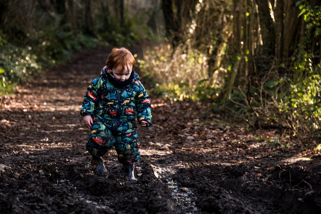 Go Wild Education Forest School tweet media