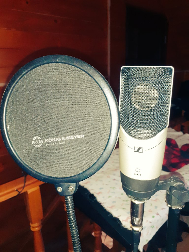 Alex Stockey tweet media