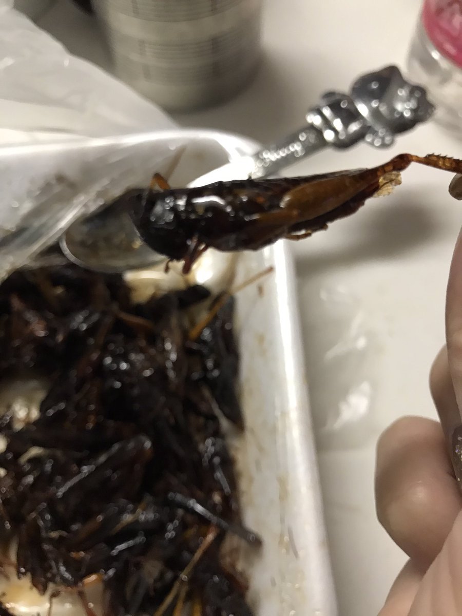 イナゴの甘露煮 イナゴの甘露煮