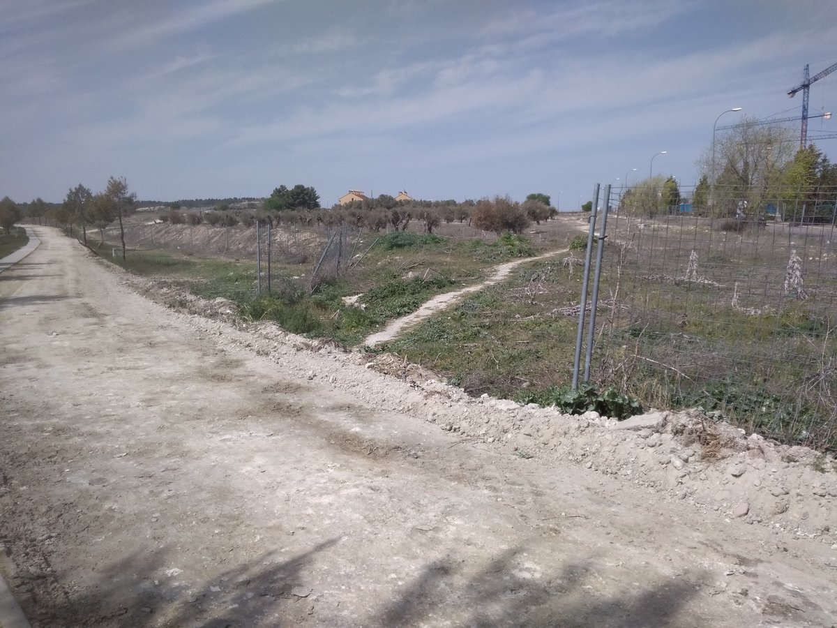 Ayto_Valdemoro's tweet photo. Las obras de acondicionamiento que @ComunidadMadrid lleva a cabo en la vía pecuaria que discurre paralela a la M-404, desde el CEIP Maestro Román Baíllo hasta el Pozo de San Pedro, es una buena noticia para quienes la transitan. https://t.co/0UpRkv8wnO