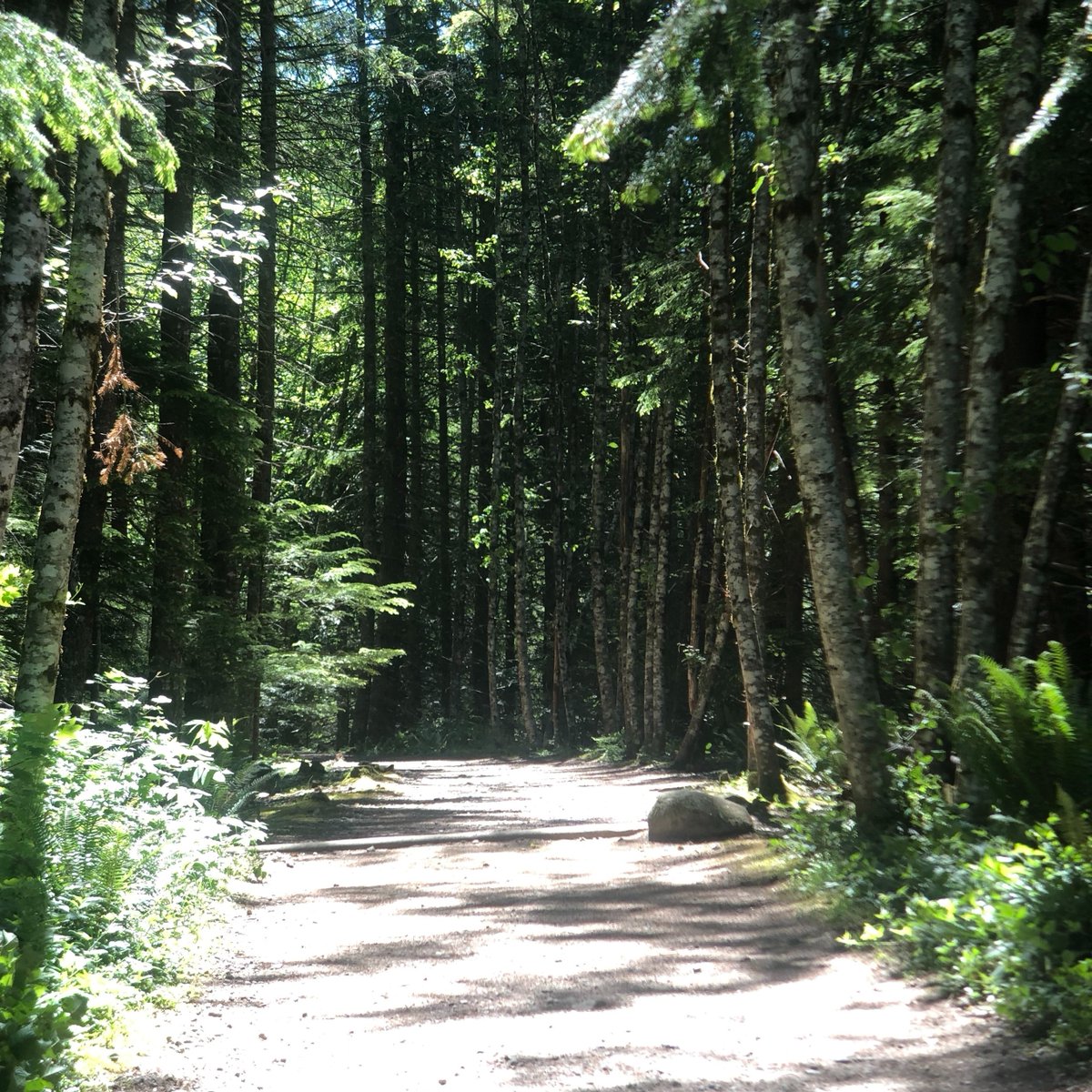 run_ontrails's tweet photo. "Motivation is what gets you started. Habit is what keeps you going!" (Jim Ryun)

#trailrunningasitshouldbe #mondaymotivation #positivemind #fitnessgoals #adventure #health #wellbeing #runninglife #ultrarunning #marathonrunning #runontrails https://t.co/2dmUzXOtSy
