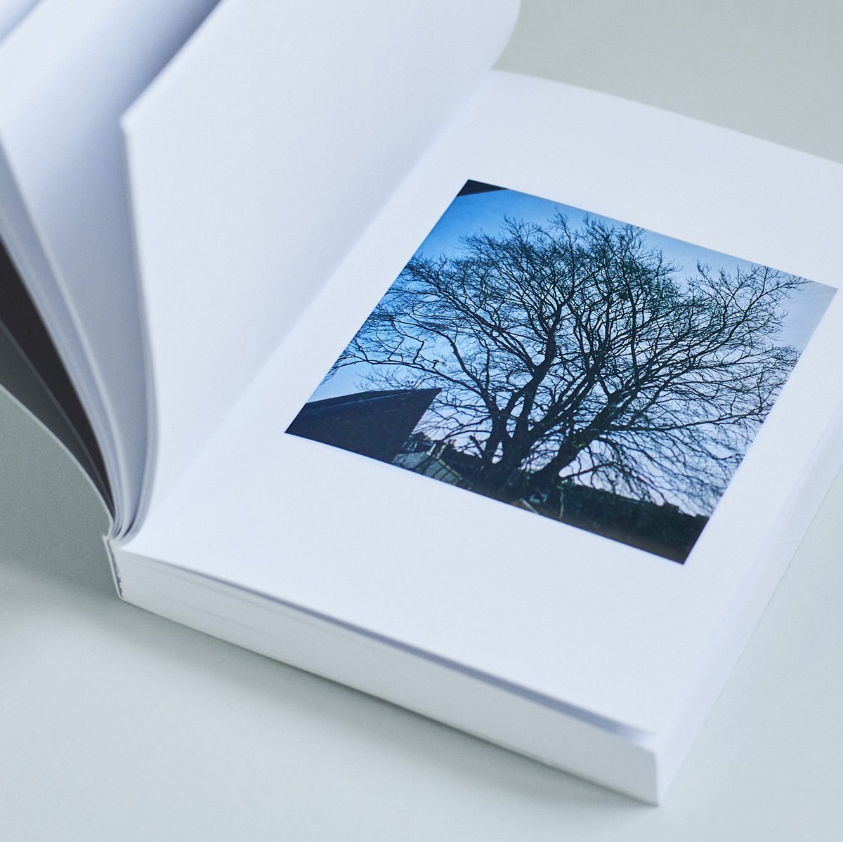 leytonoflondon's tweet photo. Tree. 100 days of lockdown. A flick book by @BrthrJcb
https://t.co/zlFmwiVb8t
#coronaversary #tree #flickbook https://t.co/hyUC2nLwdR
