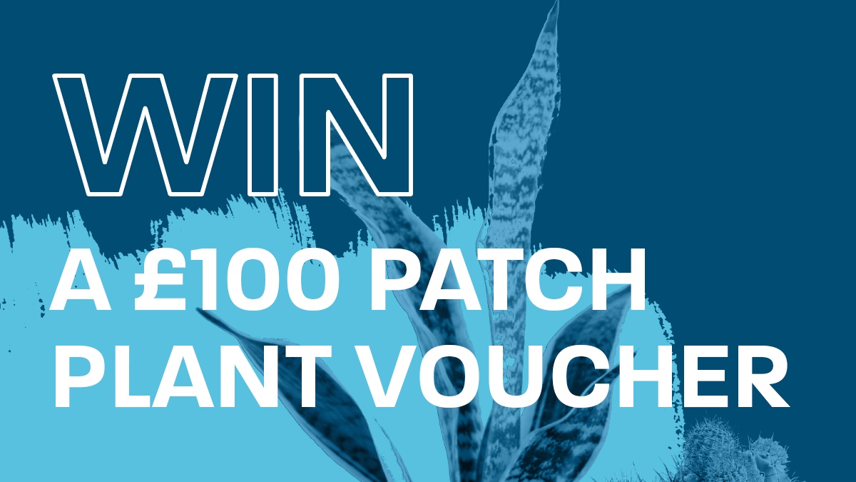 COMPETITION TIME! 
To celebrate the launch of our new branding, we are commencing weekly Instagram competitions. Our prizes are designed to make working from home that little bit easier. For your chance to win, head over to our instagram page @londoninsurancelife and ENTER!