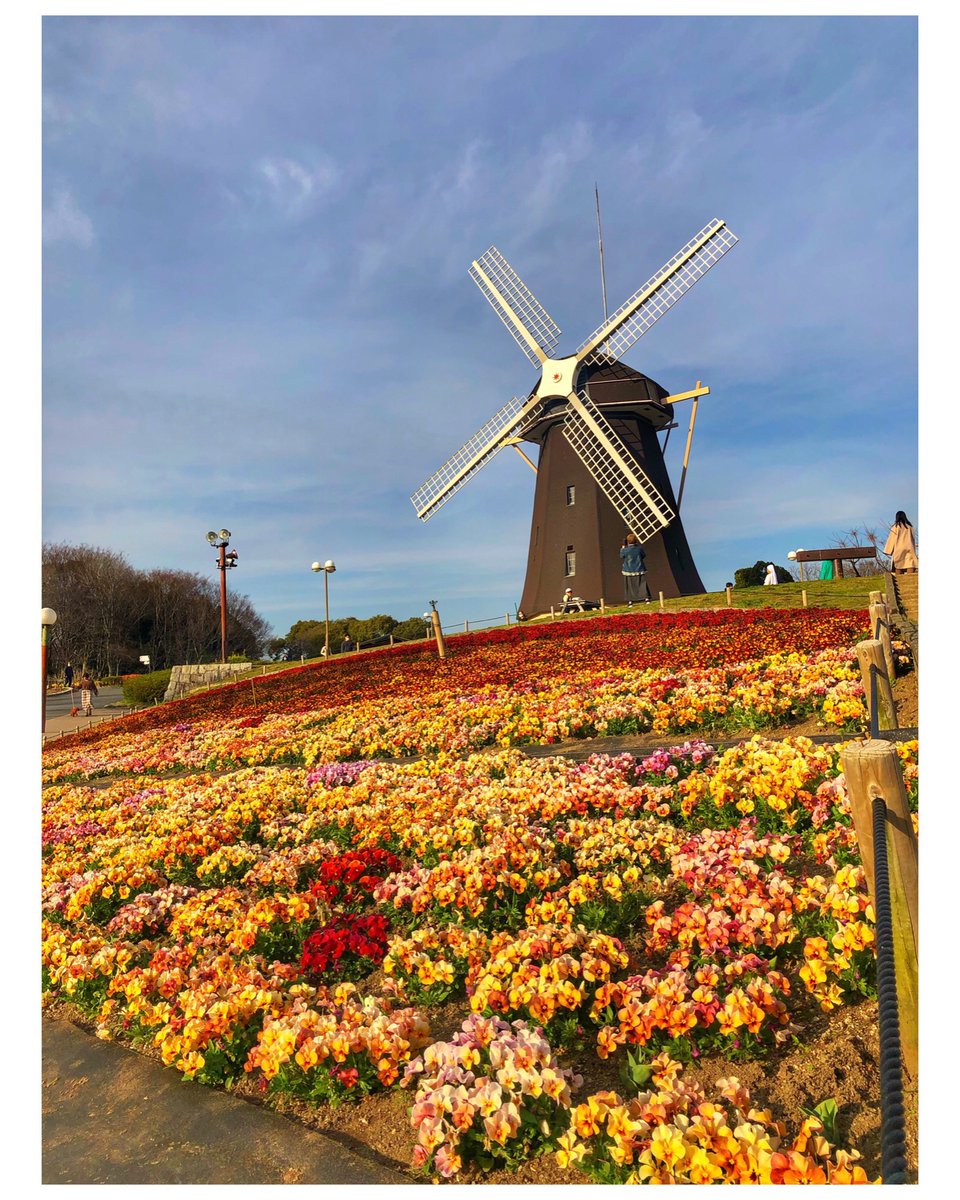 abbie_1986's tweet photo. Pasyal time🌼🌸🌺🌷���� https://t.co/Cyx8b3FGBl