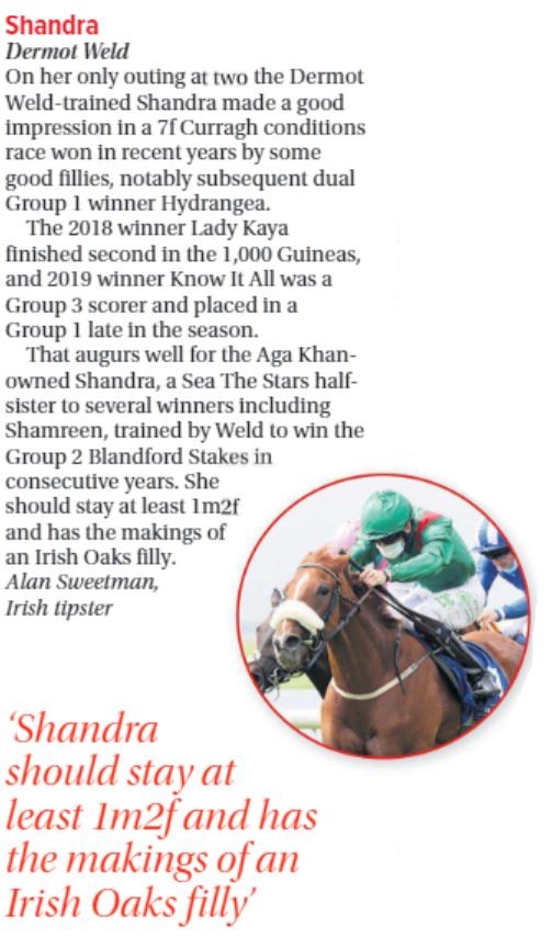 AgaKhanStuds's tweet photo. "On her only outing at 2, #Shandra made a good impression in a 7f Curragh conditions race won in recent years by some good fillies [...] and has the makings of an Irish Oaks filly".

Alan Sweetman on Shandra (#SeaTheStars), pictured here as a foal with her dam Shareen. https://t.co/zI0yklXNBs