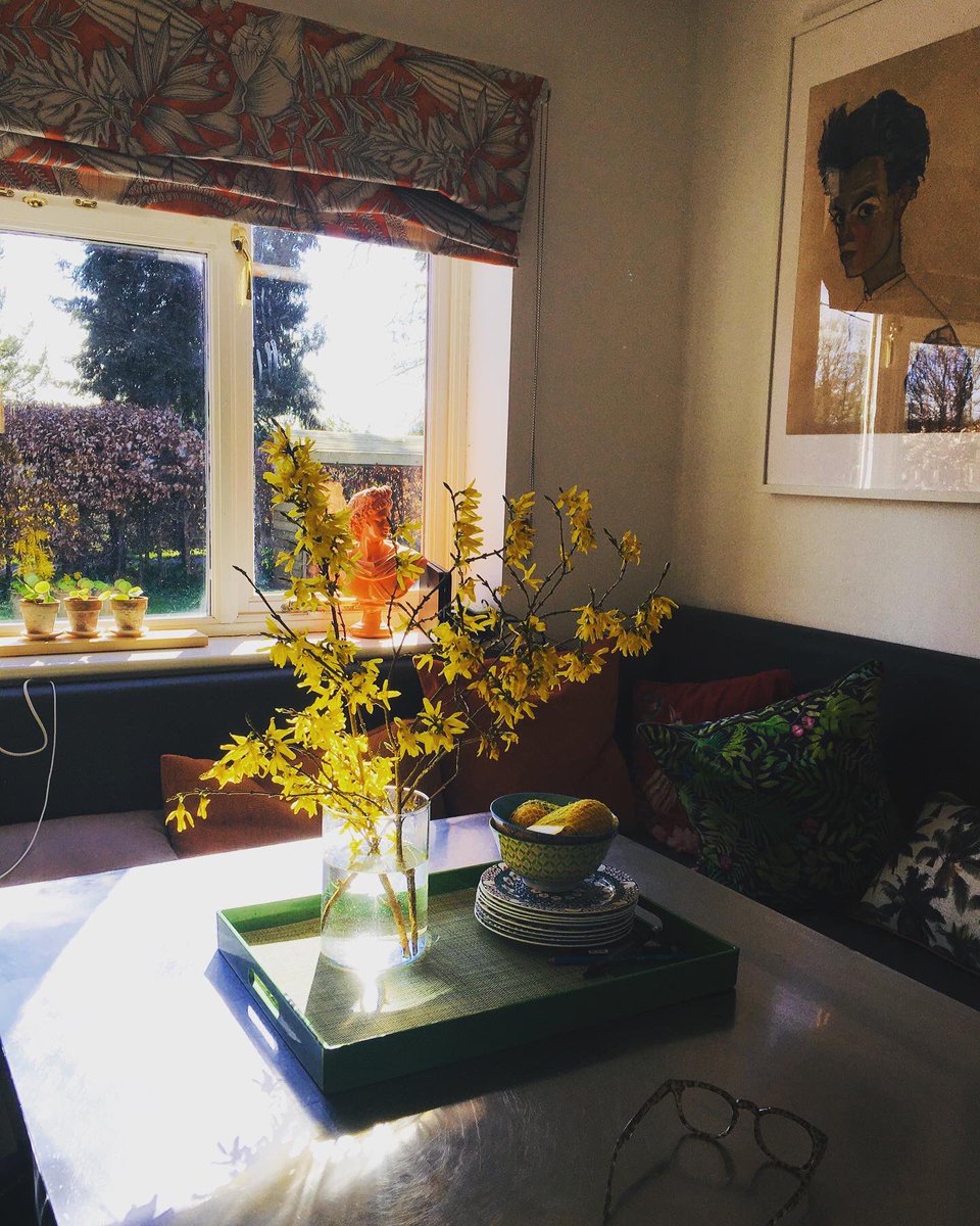 Inner_Space_Inc's tweet photo. These beautiful #forsythia stems are in abundance in my #garden so I have popped some on my #kitchen table for a #sunny #yellow happy vibe.If u don’t grow if fear not, we have #stems so realistic it’s like looking at the real thing #interiordesign #flowers #artificalflowers https://t.co/UzShXEnCET
