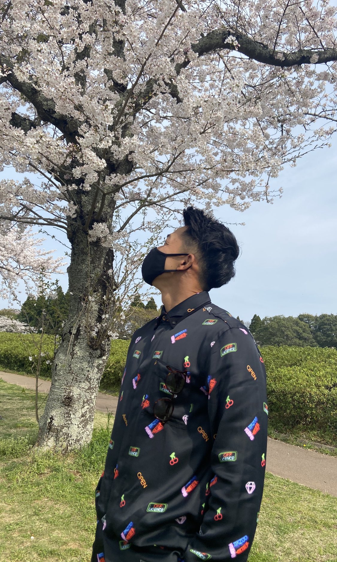 Kentaro Matsumoto 松本健太郎 ヤマザクラの花言葉は あなたに微笑む らしい T Co X3giqihlps T Co M2x6ysnrgv Twitter