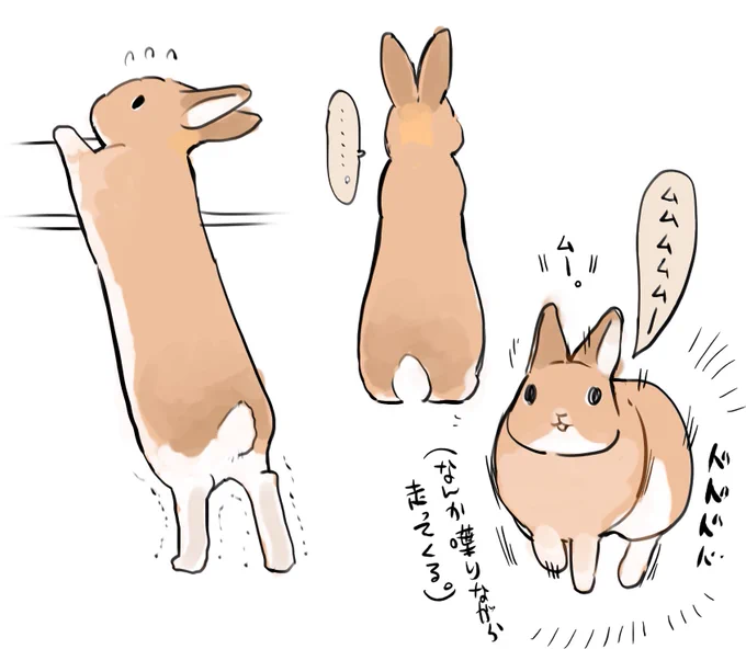 今日のうさぎ。長い状態のうさぎと、なんか喋りながら走ってくるうさぎ。 