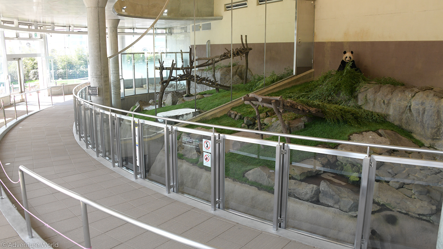 アドベンチャーワールド 公式 4 1 木 より安心で快適な観光地の実現と地域全体 活性化を目指し 南紀白浜iotおもてなしサービス実証 の一環としてパーク内の混雑状況をリアルタイムで把握できる 混雑度表示デジタルサイネージ を導入いたします アドベンチャーワールド 公式 4 1 木 より安心で快適な観光地の実現と地域全体 活性化を目指し 南紀白浜iotおもてなしサービス実証 の一環としてパーク内の混雑状況をリアルタイムで把握できる 混雑度表示デジタルサイネージ を導入いたします