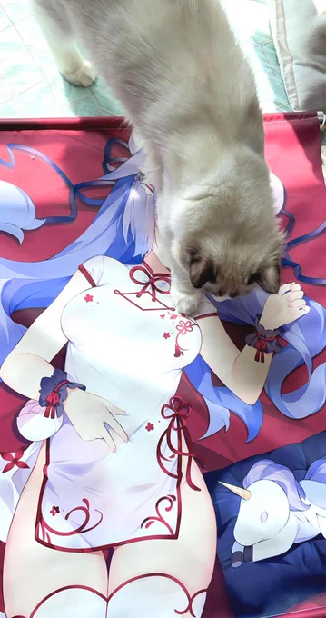 タペストリーの色校正中に邪魔するワサキ?? 