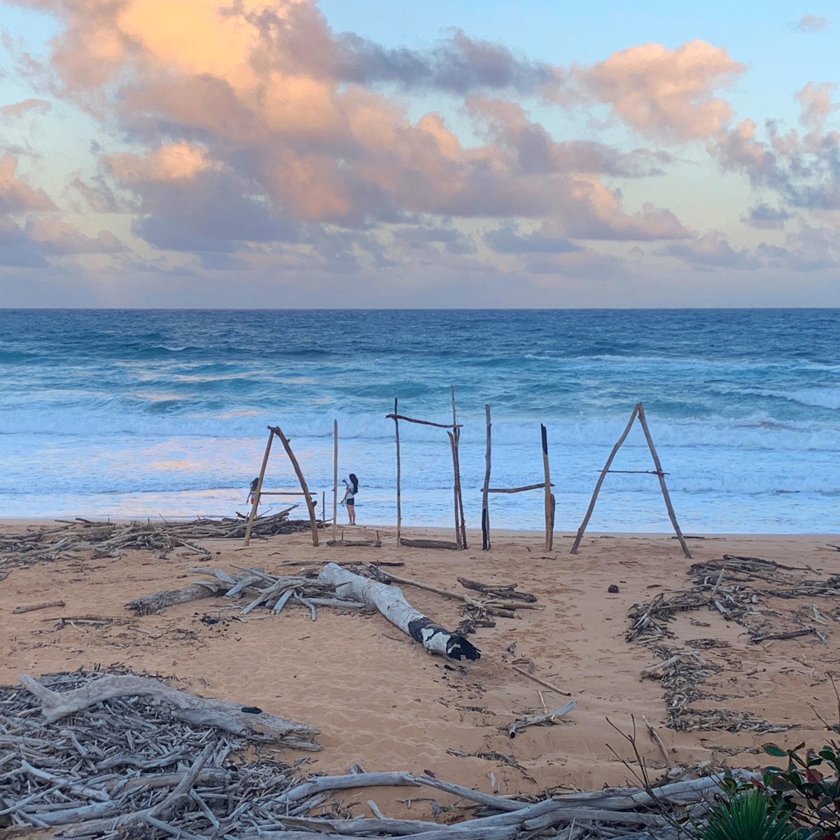 Revealed Travel Guides tweet media