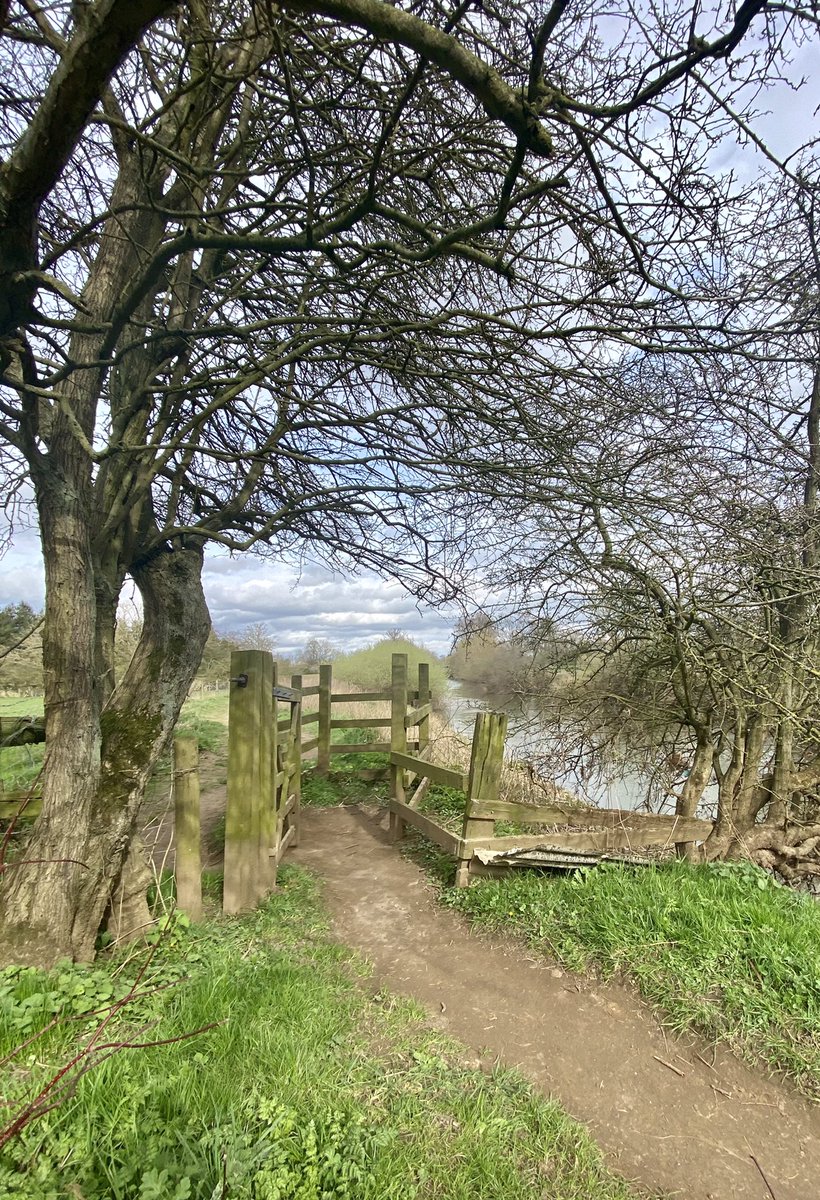 feel_paul's tweet photo. #itsgrimupnorth #awayfromthemaddingcrowd #springtime #lockdown #exercise #stroll #photo #distraction from #COVID19. #rural #lifestyle #TheRamblers #riverderwent #makeithappen with #Bonnie #borderterrier #godsowncounty #highcatton @sbib_bloom @East_Riding @Welcome2Yorks #Yorkshire https://t.co/akKh2LzYEd