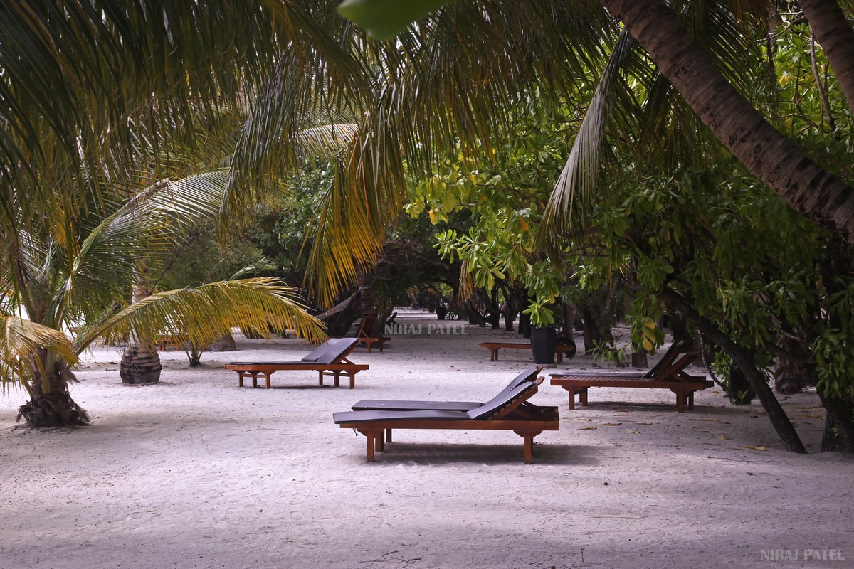 np_photographer's tweet photo. Maldives https://t.co/rQGYZVtTeF Maldives Island #maldives #republicofmaldives #maldivescountry #male #maldivescurrency #paradiseislandresortmaldives #maldivesisland #maldivespackage #honeymoonpackagemaldives #budgettriptomaldives https://t.co/ieTIEPqVsD