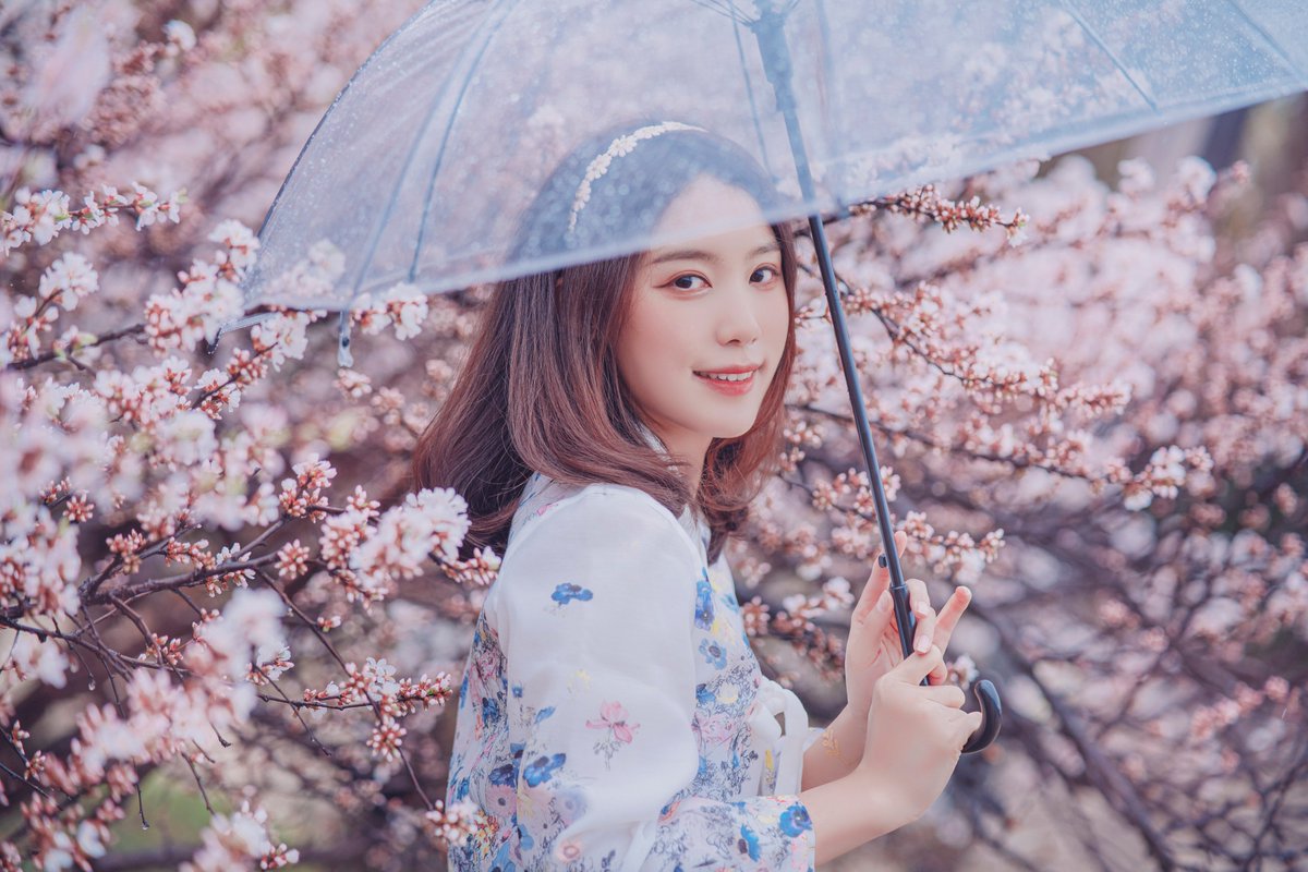 enjyu_cos's tweet photo. 비오는 날 데이트🌼
🌸☂️🌸
Photo by. @CherryPie_85💗
━━━━━━━━━━━━━
#Korea_hanbok_challenge #한복_챌린지
#team_cherrypie🍒
#portrait #portraitphotography
#ポートレート
#Enjyu_Daily https://t.co/tSxOtzy3WC