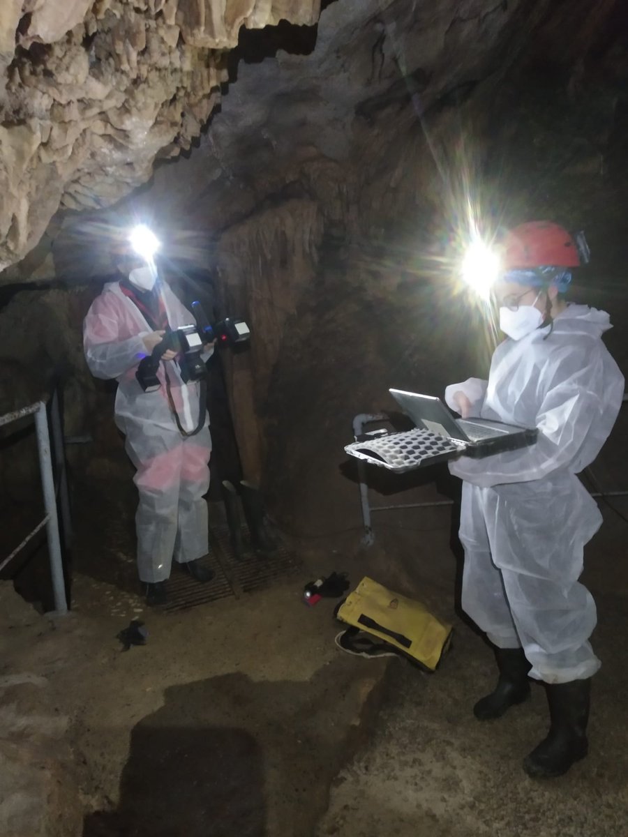 PreGraphity's tweet photo. 👋☕️Good monday! #Kobabes project continues looking for those active processes which must to be controlled to protect the evidences of rock art. We have recently done this in the @UNESCO WHS #Santimamiñe, in #Kortezubi. 
📸👩‍🔬🔬 https://t.co/CFupvPzZbQ