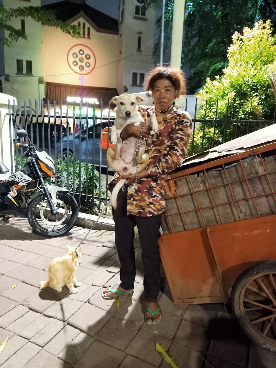 Halo. Ibu ini namanya ibu Balqis. Ibu ini tinggal di dalam gerobak bersama anjing dan kucingnya. Salut bgt dgn segala kekurangannya,tetap merawat kucing dan anjingnya dgn baik. Lokasi ibu Balqis di Gereja Ayam Pasar Baru. Mungkin ada yg bisa kasih kerjaan ke ibu Balqis🙏🏻