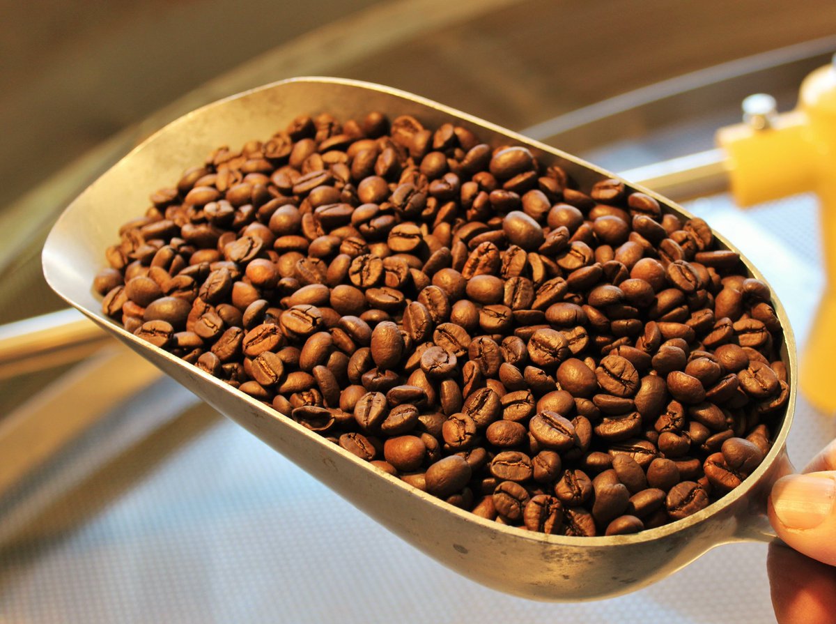 Caffe_Roen's tweet photo. ✅🔥 Roasting check 🔥✅
checking and tasting every batch of coffee is part of our delicious 😋 daily routine
#cafferoen #coffelover #coffeelove #lakegarda #espressoitaliano #espressolover #espressopassion #espressogram #instagarda #espressomaschine #homeespresso #coffeeoftheday https://t.co/UmomTcbyC5