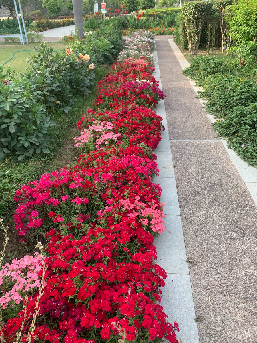 Ponnurangam Kumaraguru “PK” tweet media