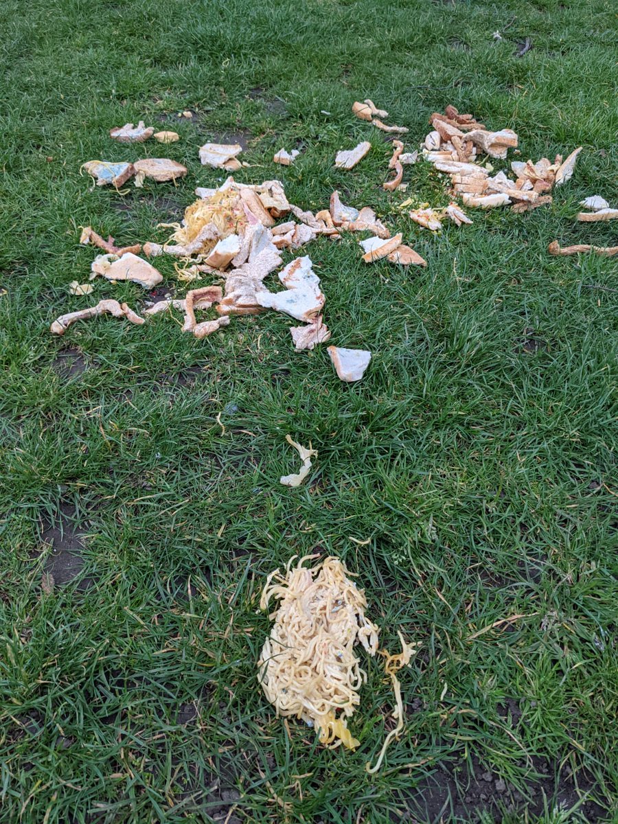 Please stop dumping your kitchen waste in the park at Bramshill Rd Open Space, Harlesden