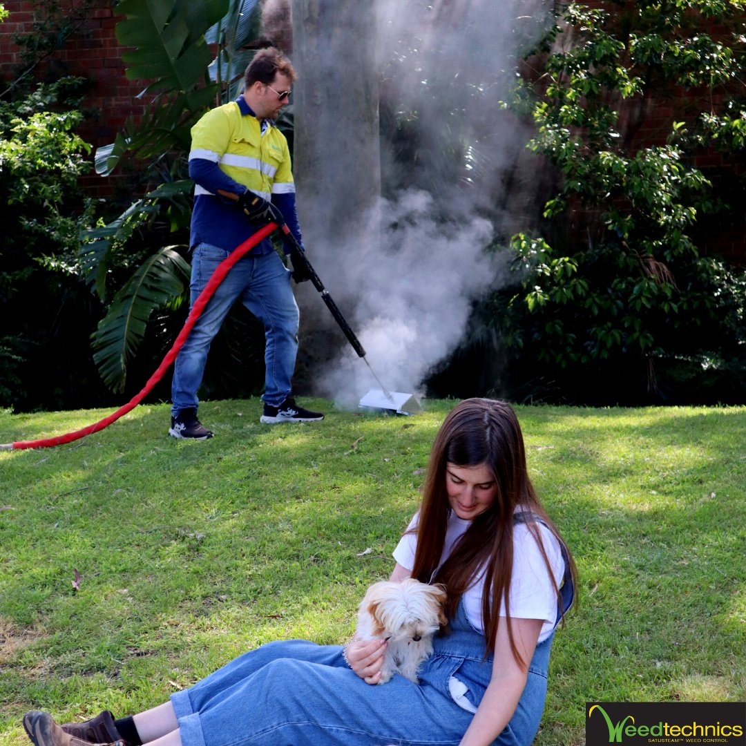 Weedtechnics's tweet photo. #Chemicalfree #weedcontrol is the way to go! With #Satusteam your pets are safe - there are #notoxins #nochemicals. Satusteam© is just water!

#organic #petfriendly #petfriendlyweedcontrol #animalsafeweedcontrol #safeweeding #safeweedcontrol #satusteam #organicweedcontrol https://t.co/BaTqFJMmaL