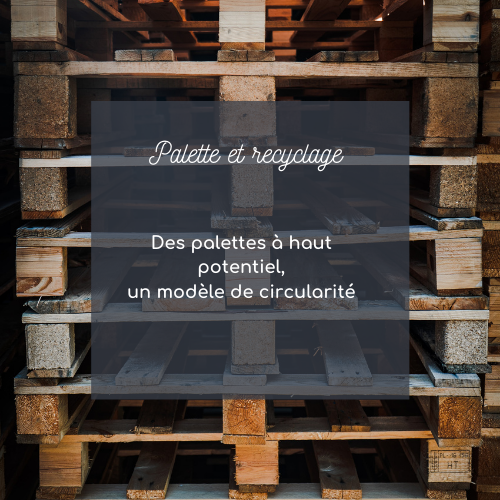 Le saviez-vous ? 90% des palettes recyclées sont retournées sur le marché pour une nouvelle utilisation. Pourquoi pas les votre ? 🪵 ♻️

On en parle dans l'épisode du jour, lien dans la bio 😉

#économiecirculaire
#recyclage
#bois #palette  #recyclage 
#zerowaste
#ecogestes