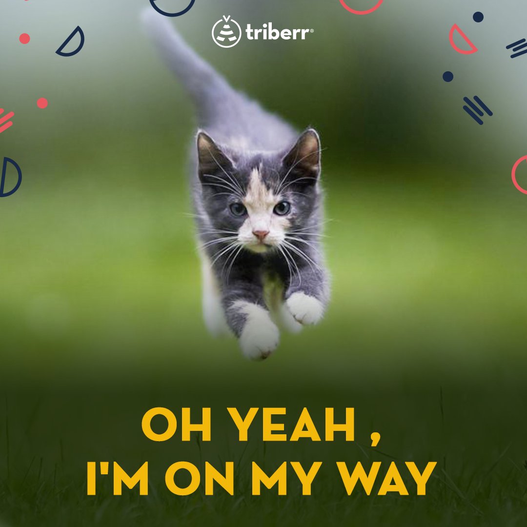 Stop wasting hours daily to find, schedule, and post content. 

Find out how Triberr Queue will help you 👇

Queue streamlines every step in the social sharing process from curating to scheduling and sharing. 

Checkout #linkbio to learn more.