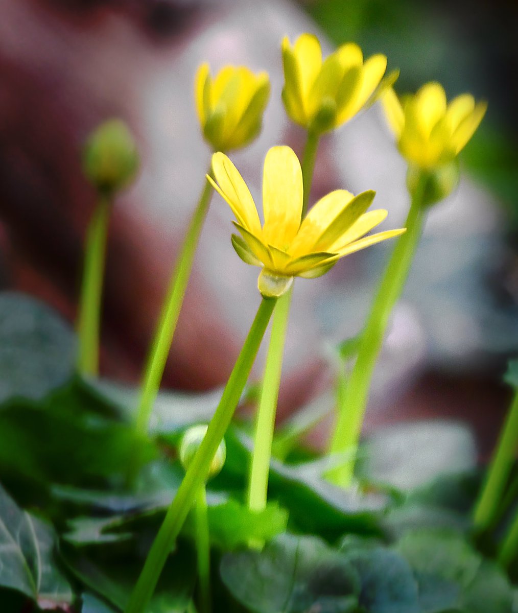 Hughgregory13's tweet photo. “Spring” https://t.co/iVgkjtWzYY