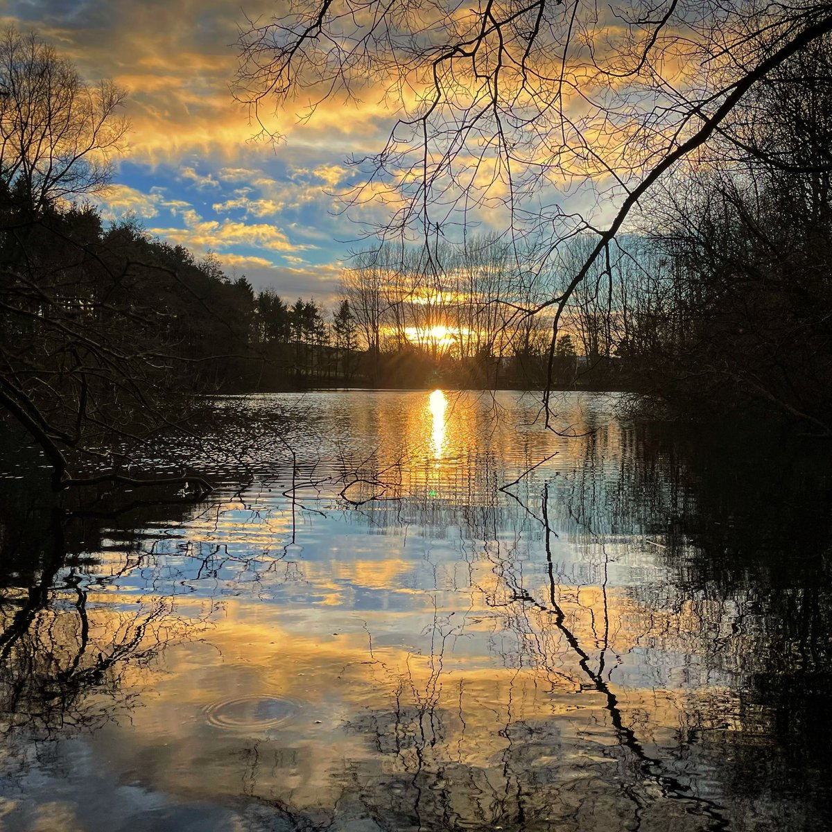 JohnBrice's tweet photo. Words can’t express how excited I am! Night fishing is finally back! After a lot of hard work and socially distanced work party’s the lake looks absolutely stunning. Roll on summer! We are ready!
My Graceland 🙏🏻🎣 #Fishing #StudyToBeQuiet https://t.co/H68DcXXMP2