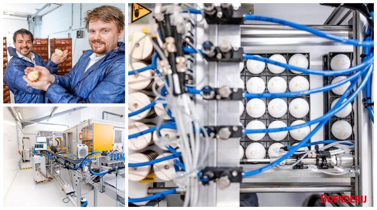 ►Geslachtsbepalingstechniek van In Ovo praktijkklaar◄
Biotechbedrijf <a href="/in_ovo/">In Ovo</a> heeft een techniek ontwikkeld om het geslacht van het kippenembryo in het broedei te bepalen. Zowel bij witte als bij bruine eieren. Met een betrouwbaarheid van 95%. boerderij.nl/Pluimveehouder…