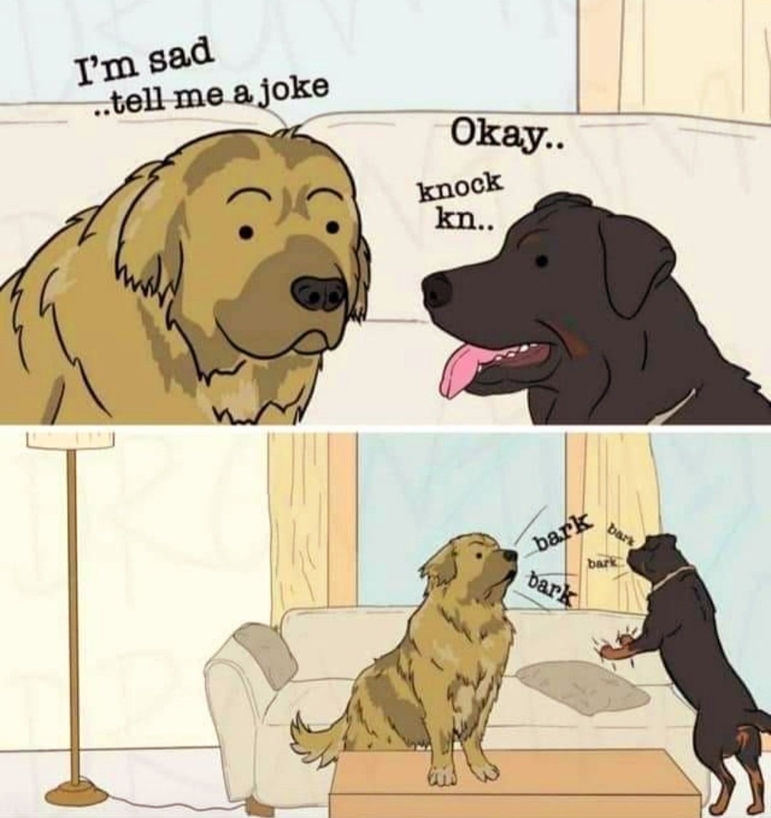 Tell me joke. Knock Knock meme. Три собаки Мем. Woof meme. Knock Knock Мем.