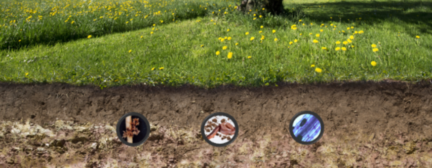 vandeHeijdenLab's tweet photo. Nice talk by Luca Montanarella on the relevance of sustainable soil management within the European Green Deal at the online #EJPSoilScienceDays.
#sustainablesoils
#SoilHealth
#TraceSoils https://t.co/YCXtlZBBZT
