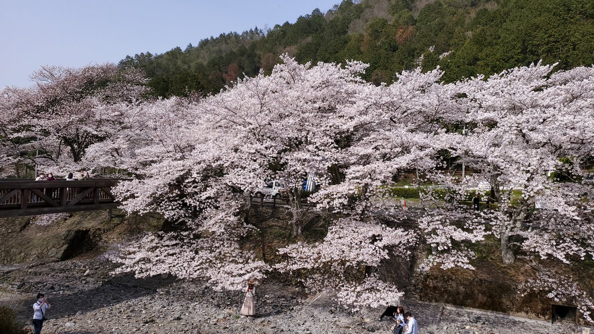 七谷川 Twitter Search