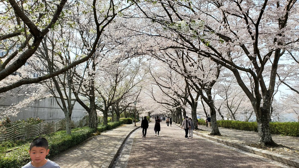 七谷川 Twitter Search