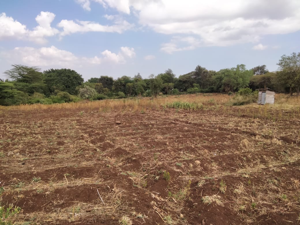 Myspace_Kenya's tweet photo. Fronting the Isiolo-Meru highway, in #MailiSaba, is 2 Acres of land for sale. There's a flowing river at the far end of the land.
The parcel is suitable for either commercial, residential development or farming.
Sale: Ksh3M per Acre
0734 555556
Whatsapp: https://t.co/4p4gLsfu7N https://t.co/6TDJxf0gOD