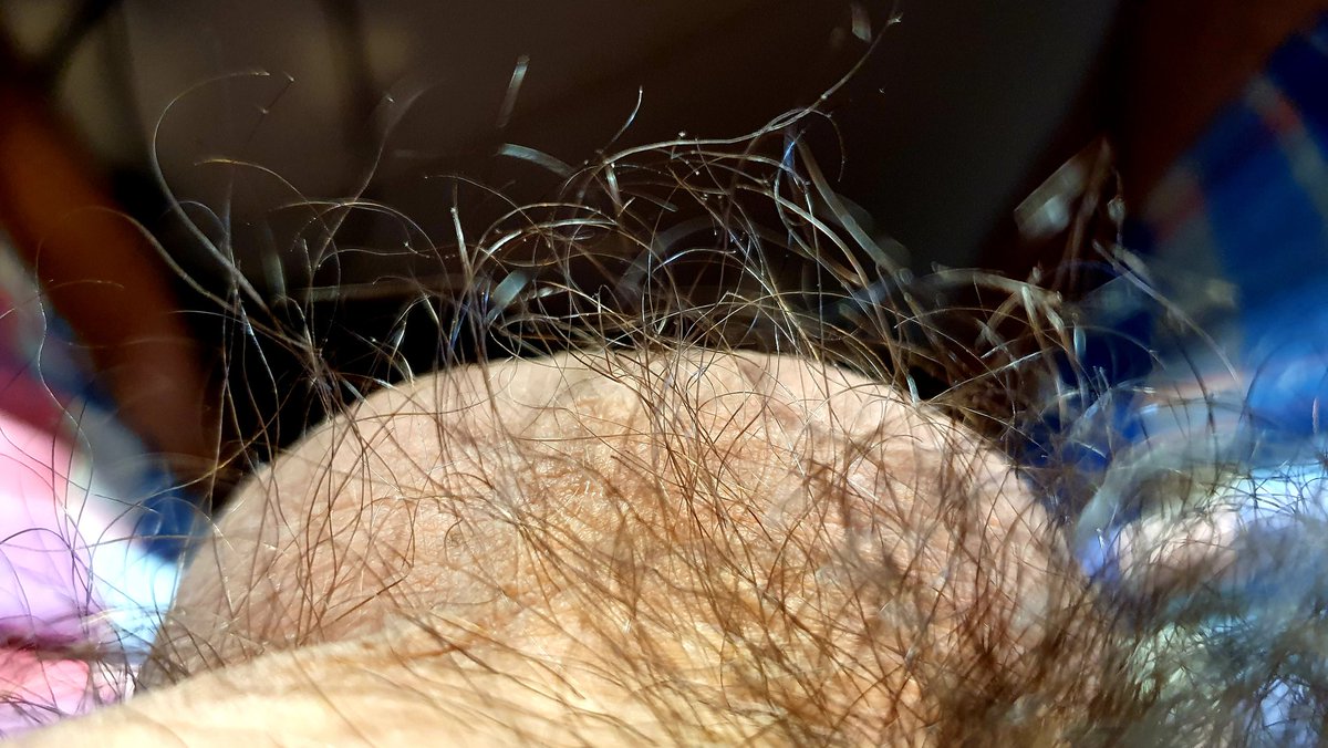 TomyTop81's tweet photo. #bushmorning #bushypubes #menpubes #stopshaving #hairyballs #mensmell #musky #peludo #pubes #hairy #uncut https://t.co/GQsEbZpMt4