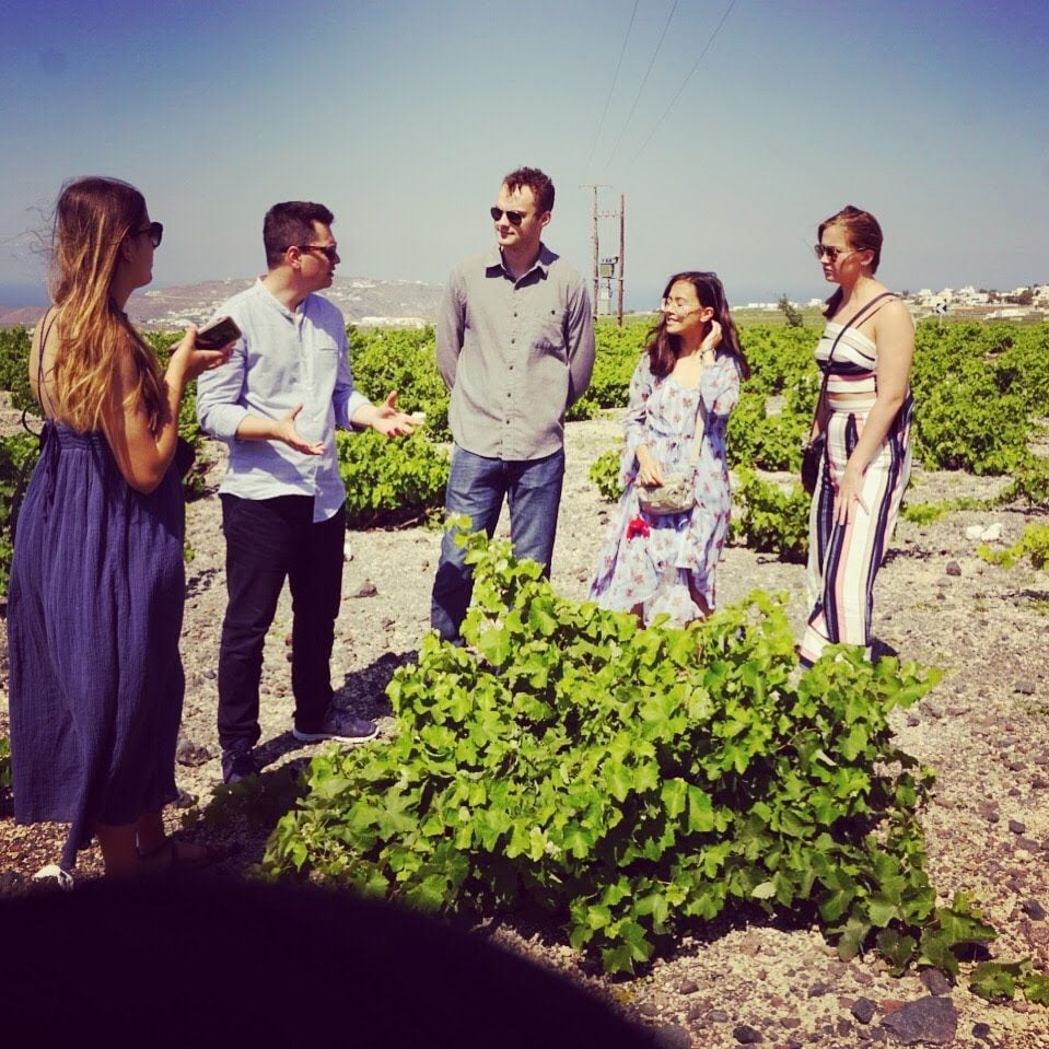 Farm visit: How to open your 🚜farm to 👭👫students.Want to learn more about farm visits❓▶  nextfood-project.eu/case-8-experie…
Read the practice abstract on “Farm visit: How to open your farm to students” :  platform.nextfood-project.eu...