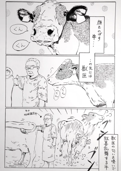 『獣医と牛』

スタンチョンに入らない牛がいてすみません…?‍♂️ 