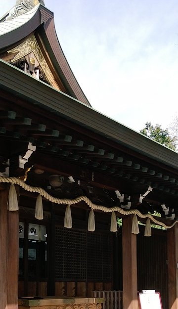 今年行けてなかった初詣に行ってきました～やっと…!ついでに実家近くの桜も見てきた 