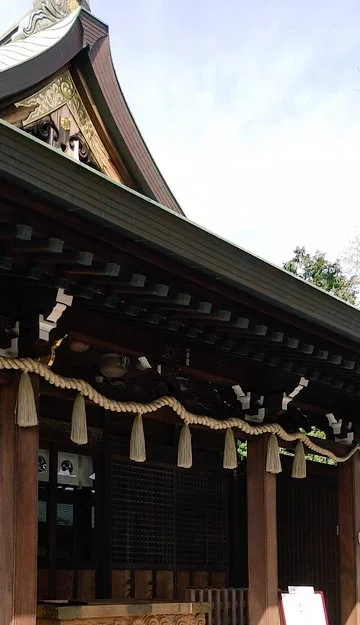 今年行けてなかった初詣に行ってきました～やっと…!ついでに実家近くの桜も見てきた 