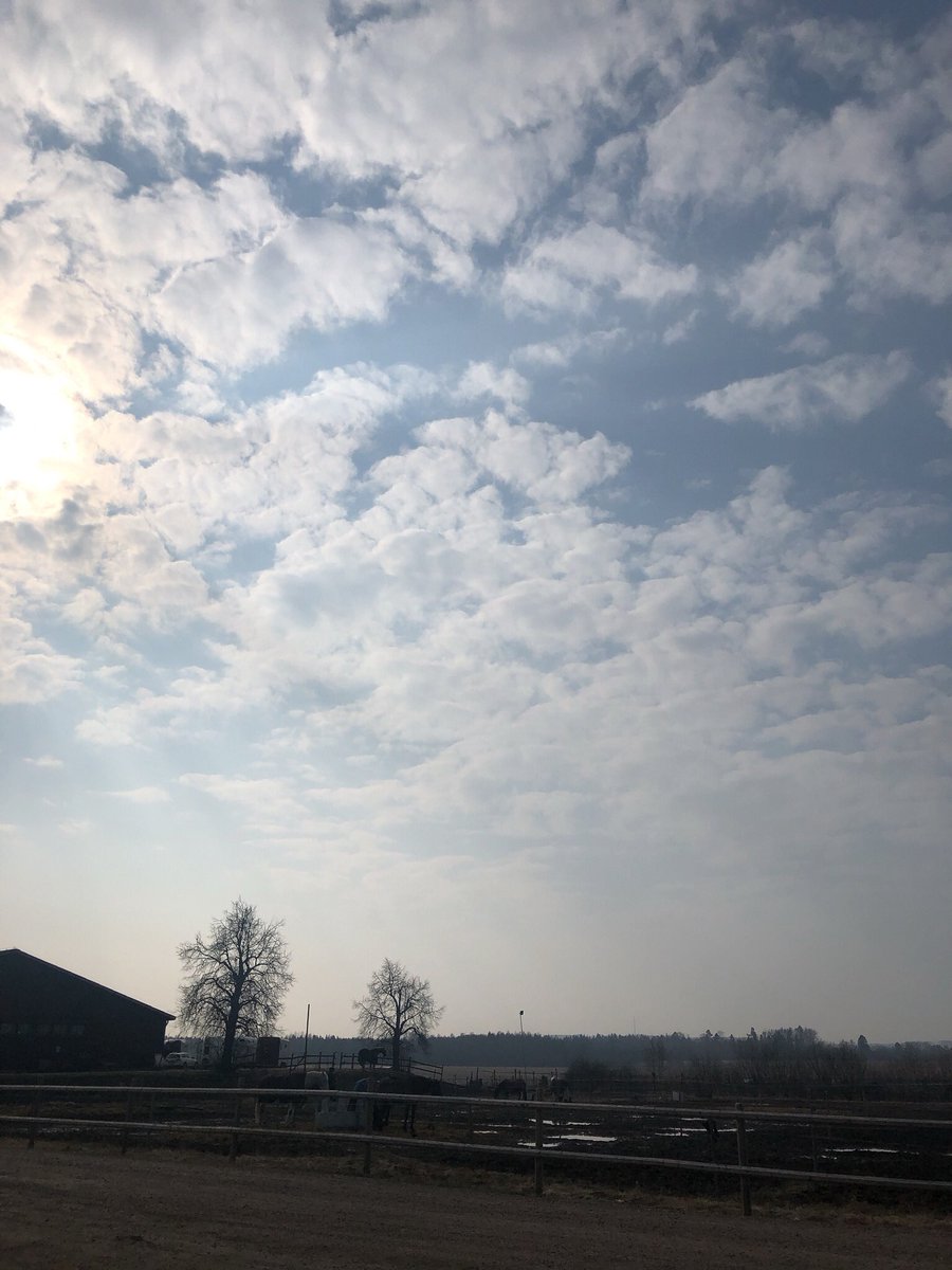 LinneaSvedlund's tweet photo. 👐🏼 https://t.co/InmAZjRjTM